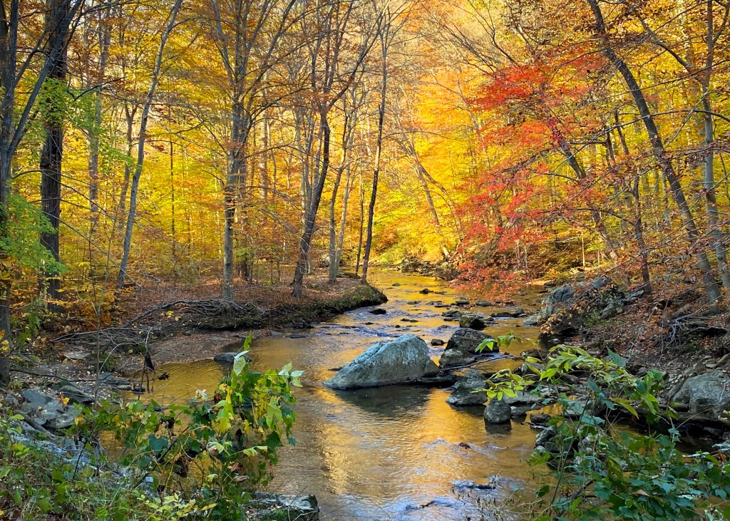 Ridley Creek State Park in Autumn
